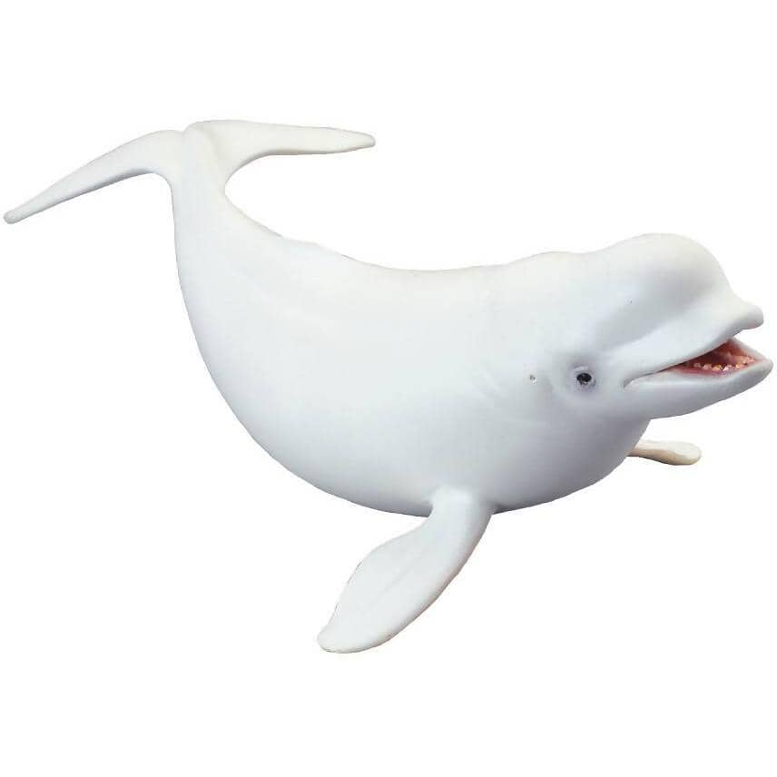 CollectA - Beluga White Whale Large Figurine