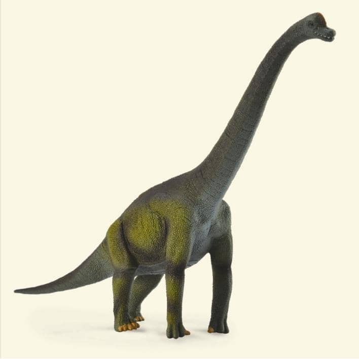 CollectA - Brachiosaurus Large Dinosaur Figurine