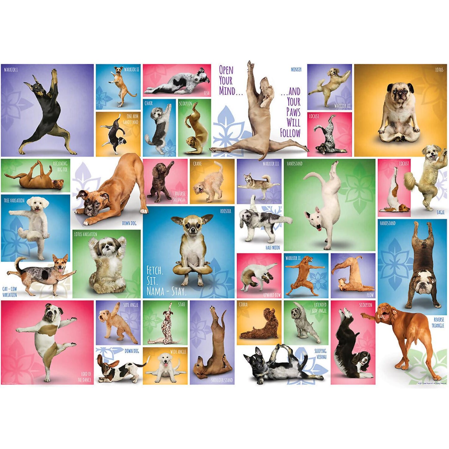 Eurographics - Yoga Dogs - Jigsaw Puzzle 1000 Pieces