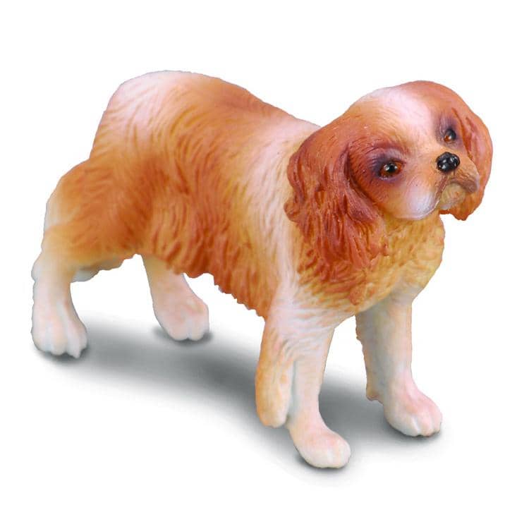 CollectA - Cavalier King Charles Spaniel Dog Animal Figurine