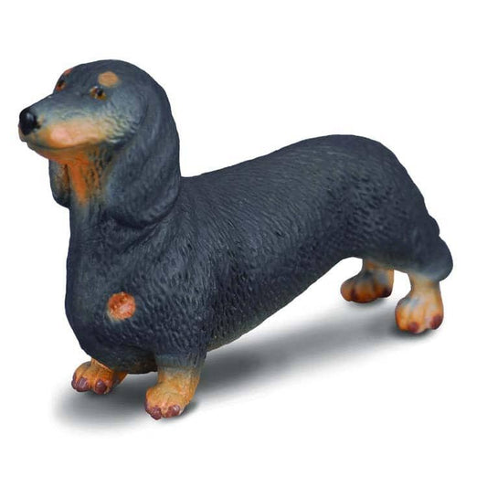 CollectA - Dachshund Dog Animal Figurine
