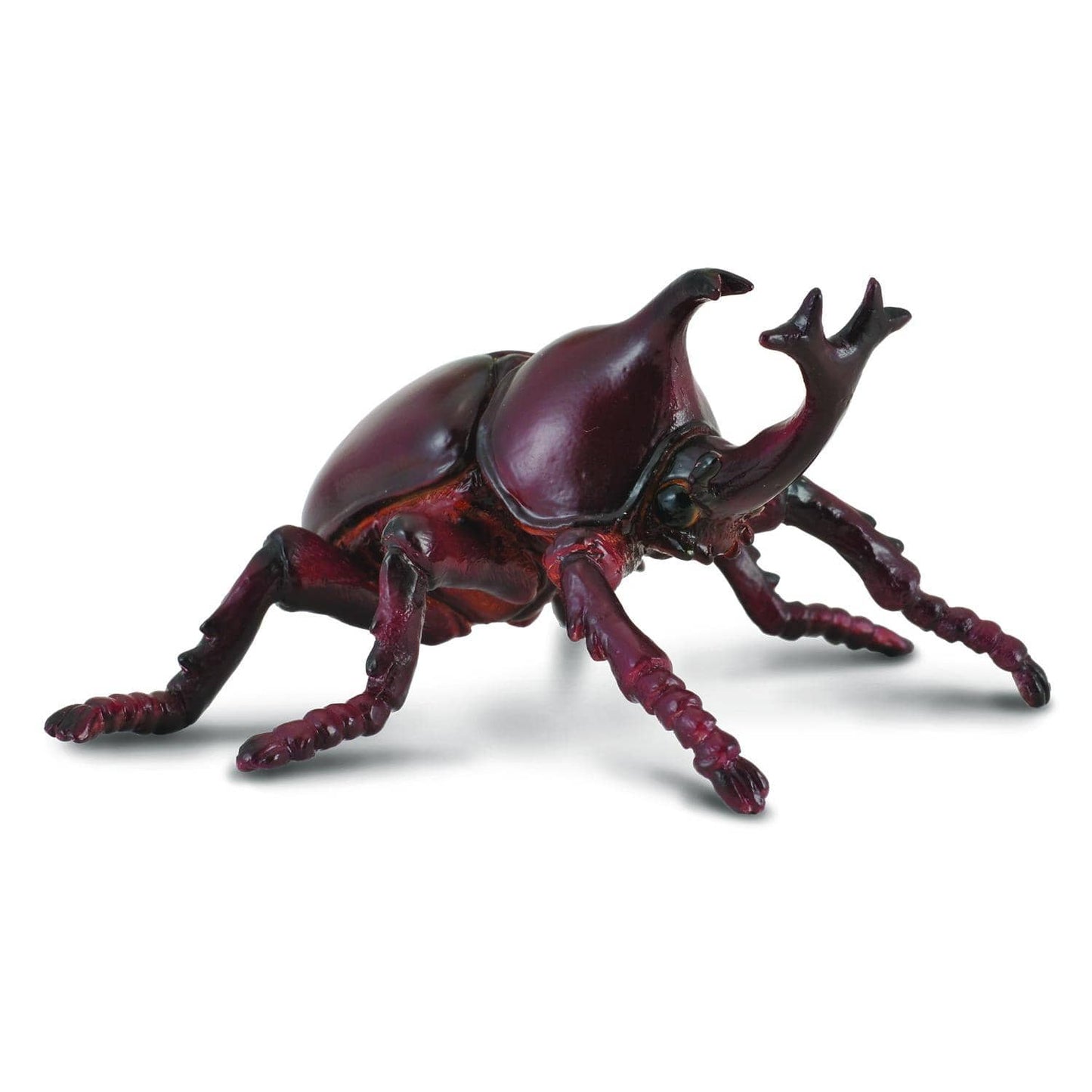 CollectA - Rhinoceros Beetle Animal Figurine