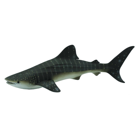 CollectA - Whale Shark Extra Large Ocean Animal Figurine