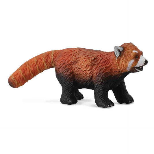 CollectA - Red Panda Medium Animal Figurine