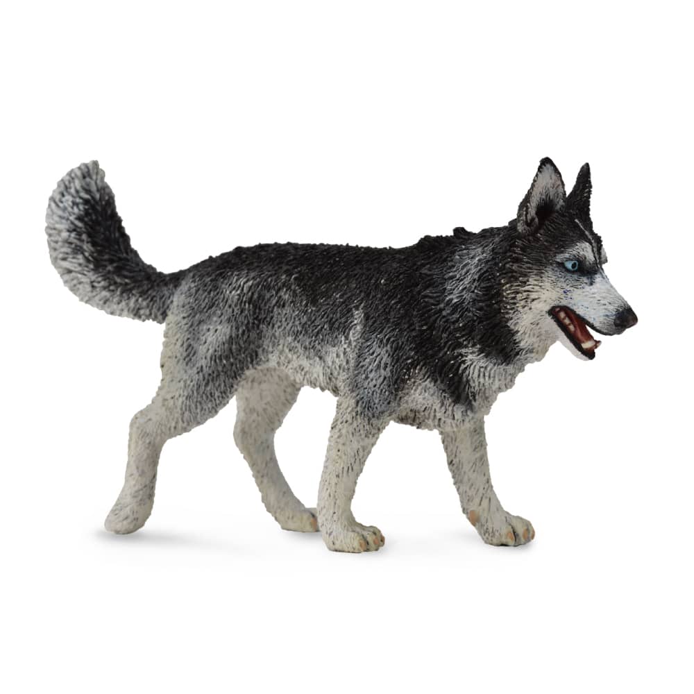 CollectA - Siberian Husky Large Animal Figurine