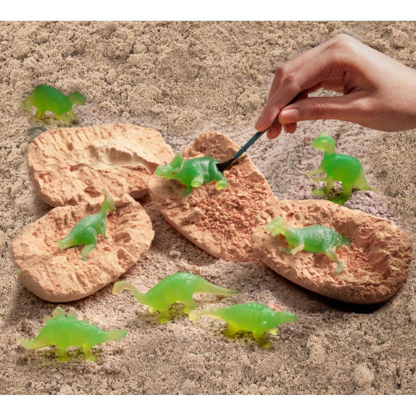 Discovery Dino Egg Crate 6pk